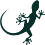 Mongabay logo
